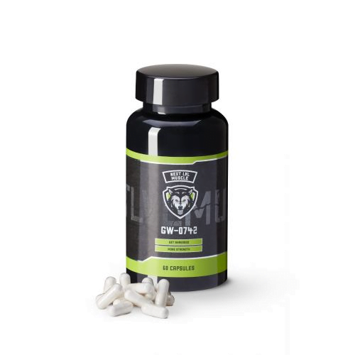 Learn how to order high-quality GW-0742 capsules online for your research needs. Discover applications, bulk purchasing options, and safety guidelines.